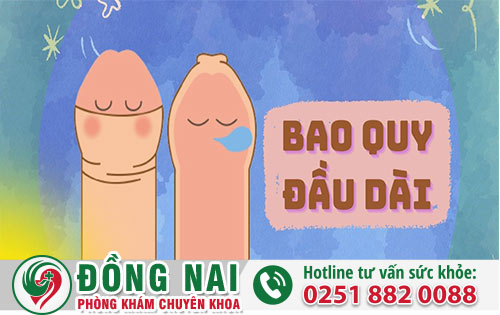 Dài bao quy đầu là như thế nào?