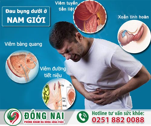 Dấu hiệu đau bụng dưới ở nam giới có thể là bệnh gì?