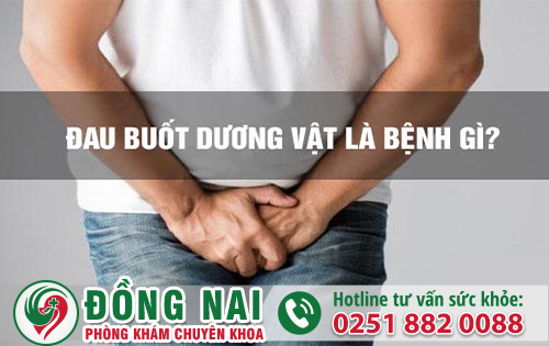 Đau Buốt Dương Vật Là Mắc Bệnh Gì?