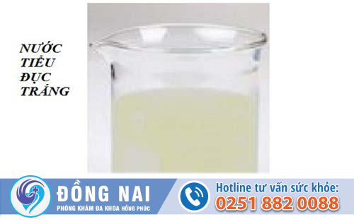 Dấu hiệu nước tiểu đục là bệnh gì?