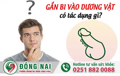 Gắn Bi Cho Nam Có Tác Dụng Gì?