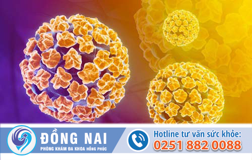Hình dạng của virus HPV