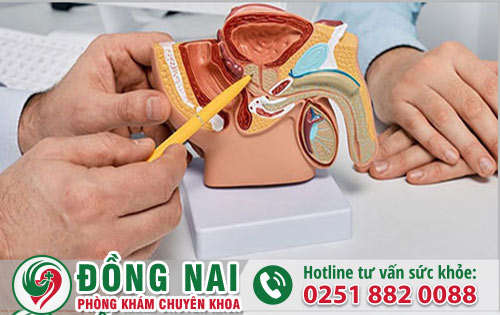 Xuất tinh đau rát cảnh báo những bệnh gì?