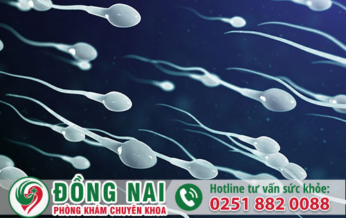 Xuất Tinh Ngược Nỗi Ám Ảnh Gây Vô Sinh Ở Nam Giới?